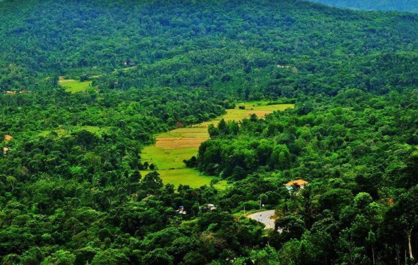 4N/5D Ooty & Kodaikanal Tour