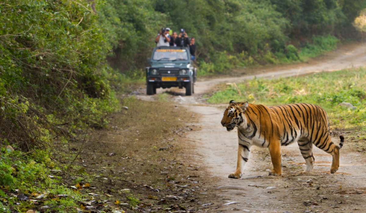 5N/6D Nainital with Jim Corbett