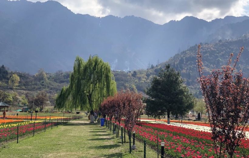 9N/10D Srinagar Tour from Jammu
