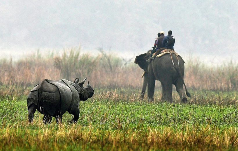 3N/4D Kaziranga National Park
