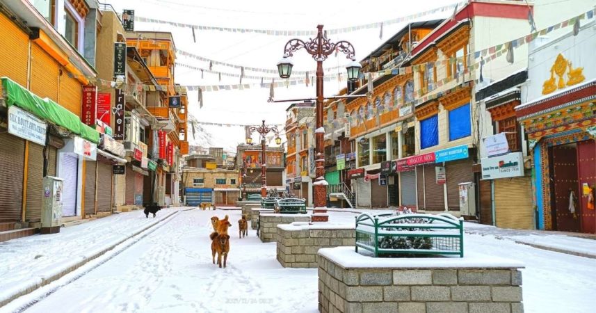 Leh Ladakh Tour Pacakage