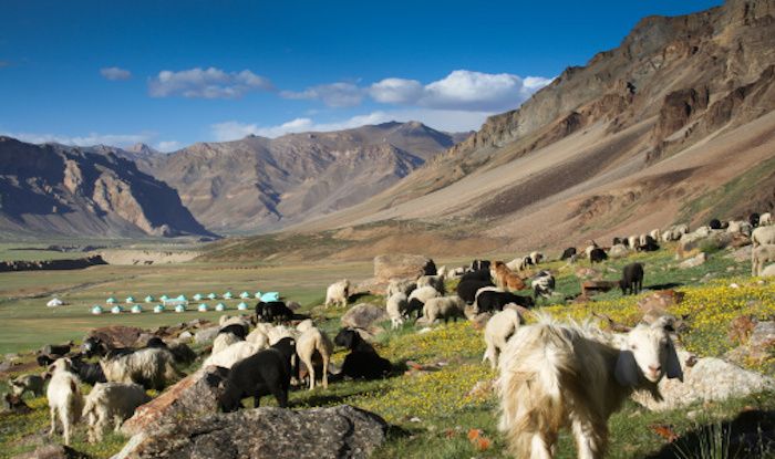3N/4D Lahaul Valley Tour