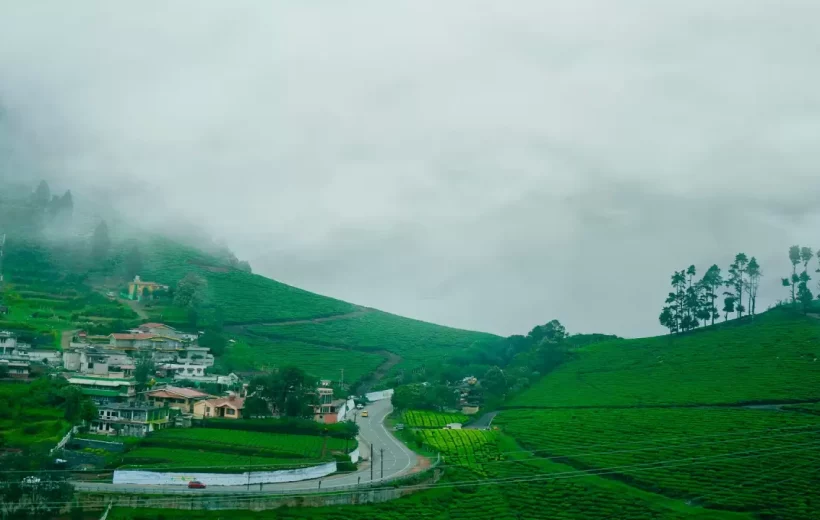 3N/4D Ooty Tour From Coimbatore