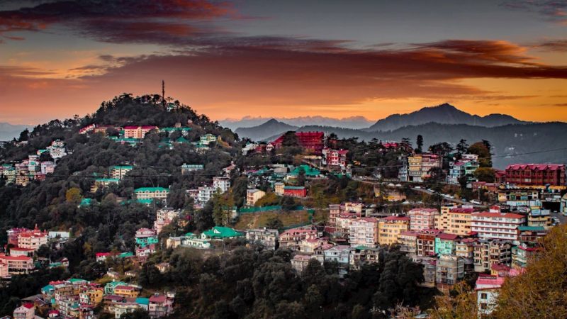 Shimla