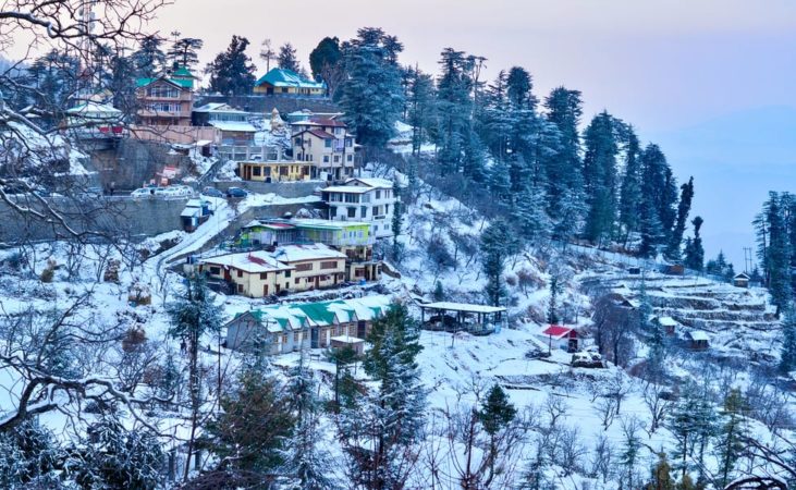 Shimla Tour Package