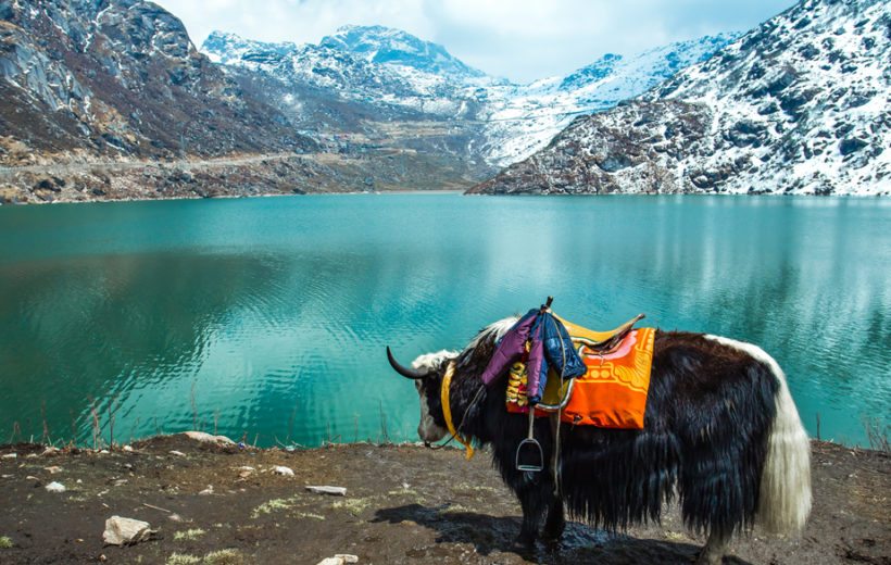 6N/7D Northeast Marvels Gangtok & Darjeeling